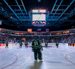 Texas Stars hockey